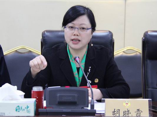 1550802314207080807.jpg 调整大小 2.胡晓霞委员.jpg