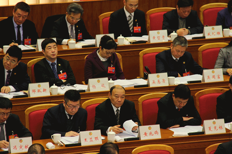 1550817948440067442.gif 【插图—动态GIF插图】参会代表2.gif
