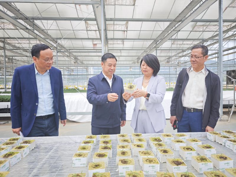 社市委召开2025年度社情民意信息工作调研座谈会